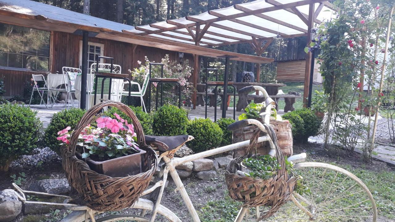 Villa Sveti Dimitar Borovets Extérieur photo