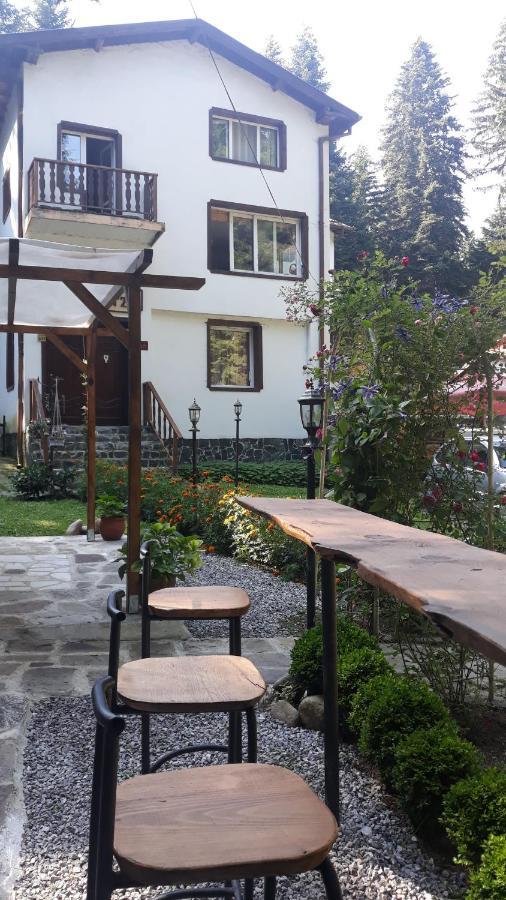 Villa Sveti Dimitar Borovets Extérieur photo