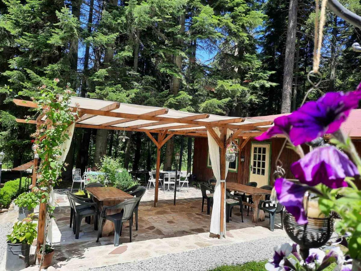 Villa Sveti Dimitar Borovets Extérieur photo