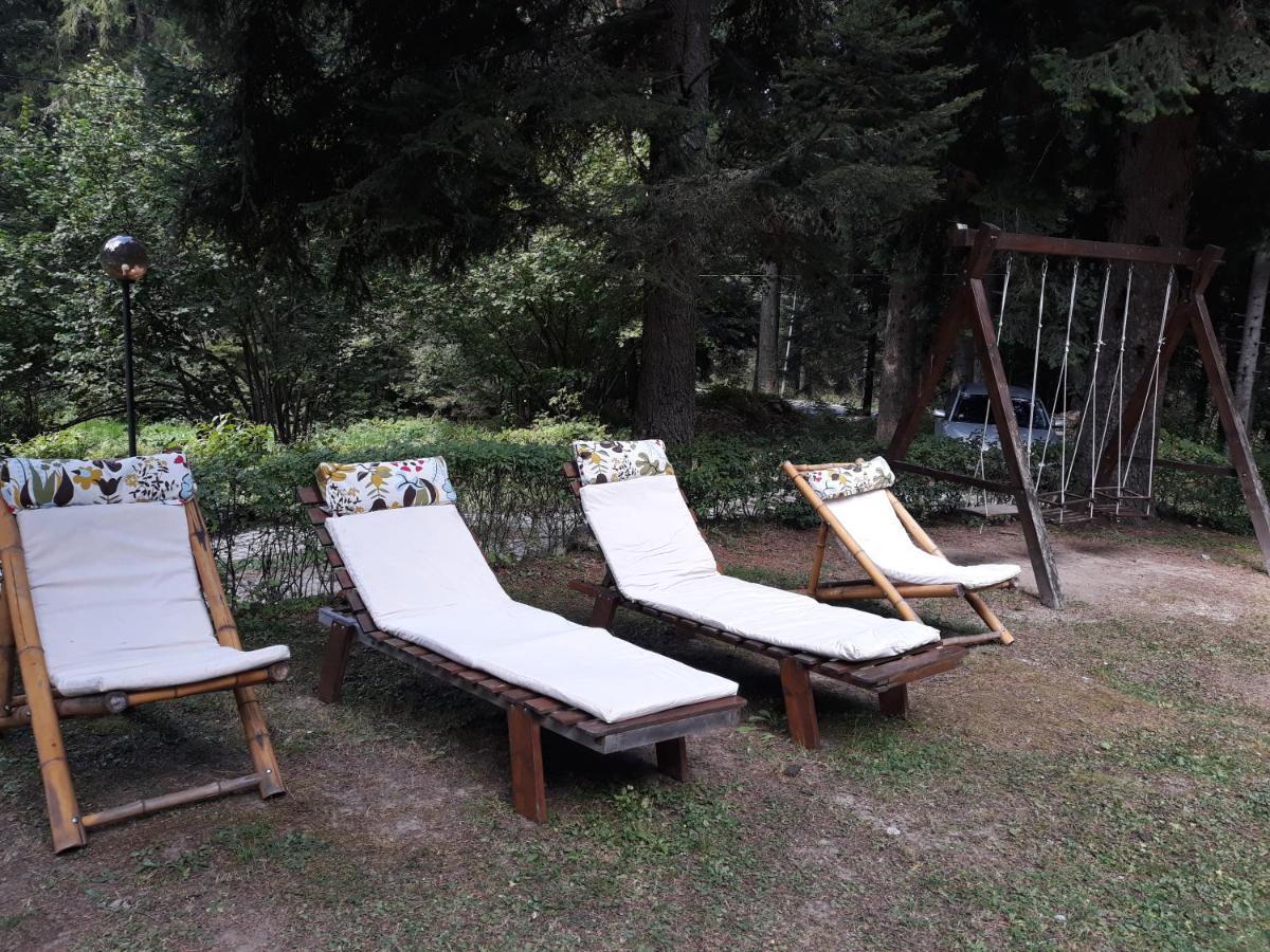 Villa Sveti Dimitar Borovets Extérieur photo